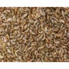 Crevettes séchées (seau de 900g)