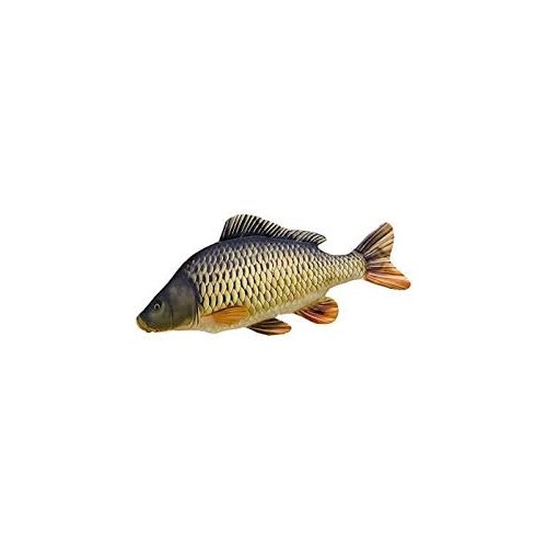 Loche de rivière 10/12cm