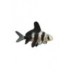 Empereur de chine 10.15cm (lot de 2)