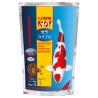 SERA koi professionnel "été" 500g