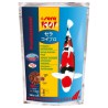 SERA koi professionnel "printemps/automne" 1kg