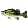Black bass 10/15cm (lot de 10)