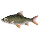 Gardon/rotengle 12/15cm (lot de 50)