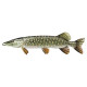 Brochet 20/25cm