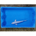 Carpe koi 20/23cm: n°9