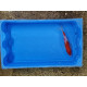 Carpe koi 20/23cm: n°17