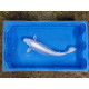 Carpe koi 35/40cm: n°29