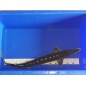 VENTE FLASH: Esturgeon stellatus ou sevruga 70/80cm (nageoires abîmées ou atrophiées): 175 euros au lieu de 295 euros