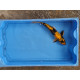 carpe koi 23/30cm: ki utsuri: n°19