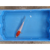 Carpe koi 20/23cm: n°1