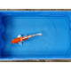 Carpe koi 20/23cm: n°4: doitsu hariwake