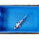 Carpe koi 20/23cm: n°6