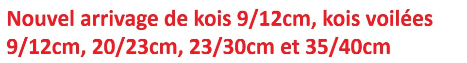 AEROTRANSKOI